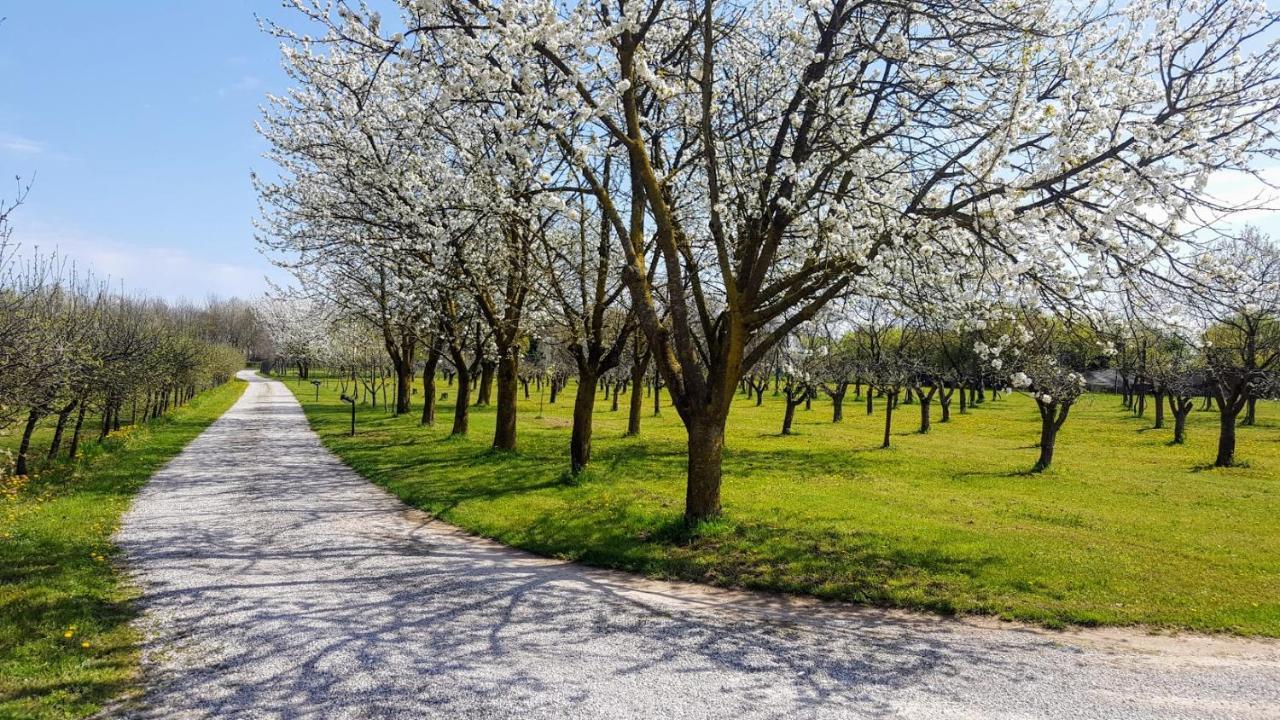 Agriturismo Borgo Borromeo ルバーノ エクステリア 写真